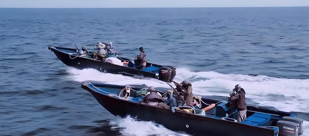 Piracy concerns