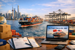 Why Choose BRF for Sea Freight China–USA